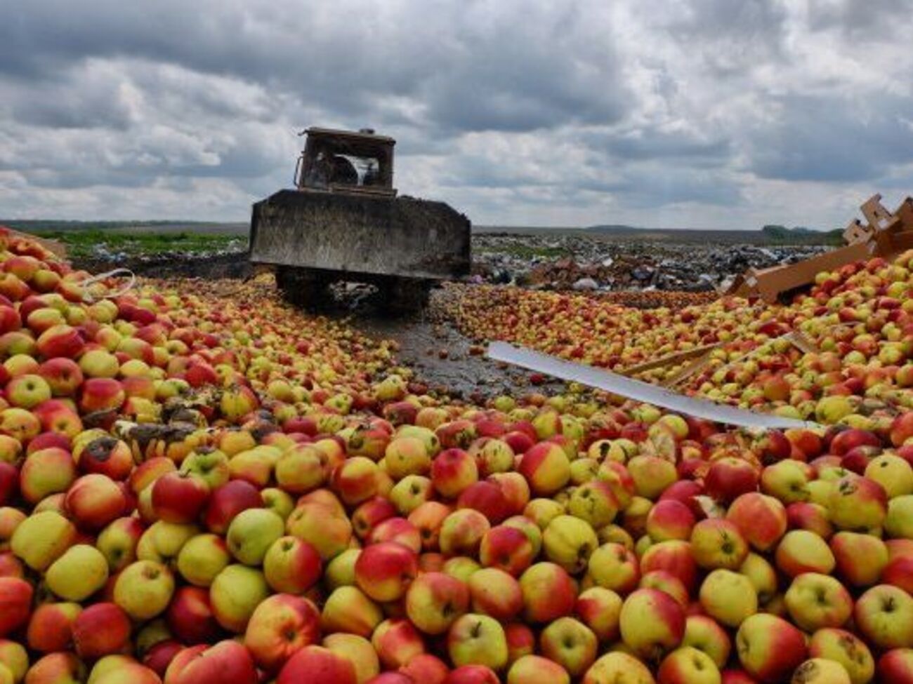 "Санкционная" продукция перевозилась в девяти грузовых автомобилях