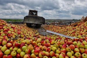 "Санкционная" продукция перевозилась в девяти грузовых автомобилях