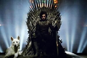 Лютоволк Лето, по мнению РЕТА, имел сходство с настоящими волками