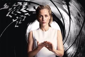 Андерсон: Джейн Бонд образца 1995 года