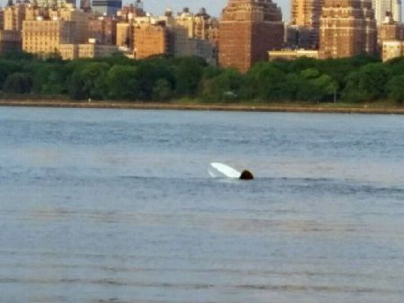 Самолет упал в Гудзон