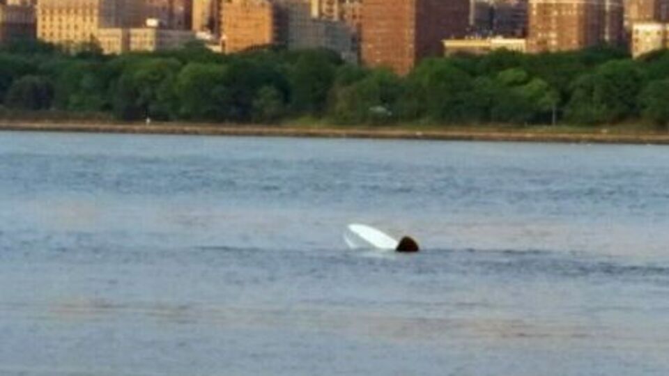 Самолет упал в Гудзон