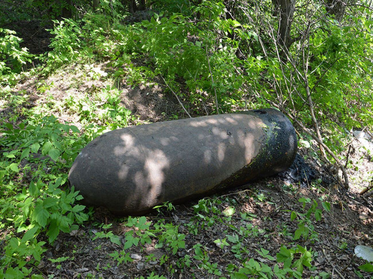 В Каменском в реке обнаружили устаревшую авиабомбу