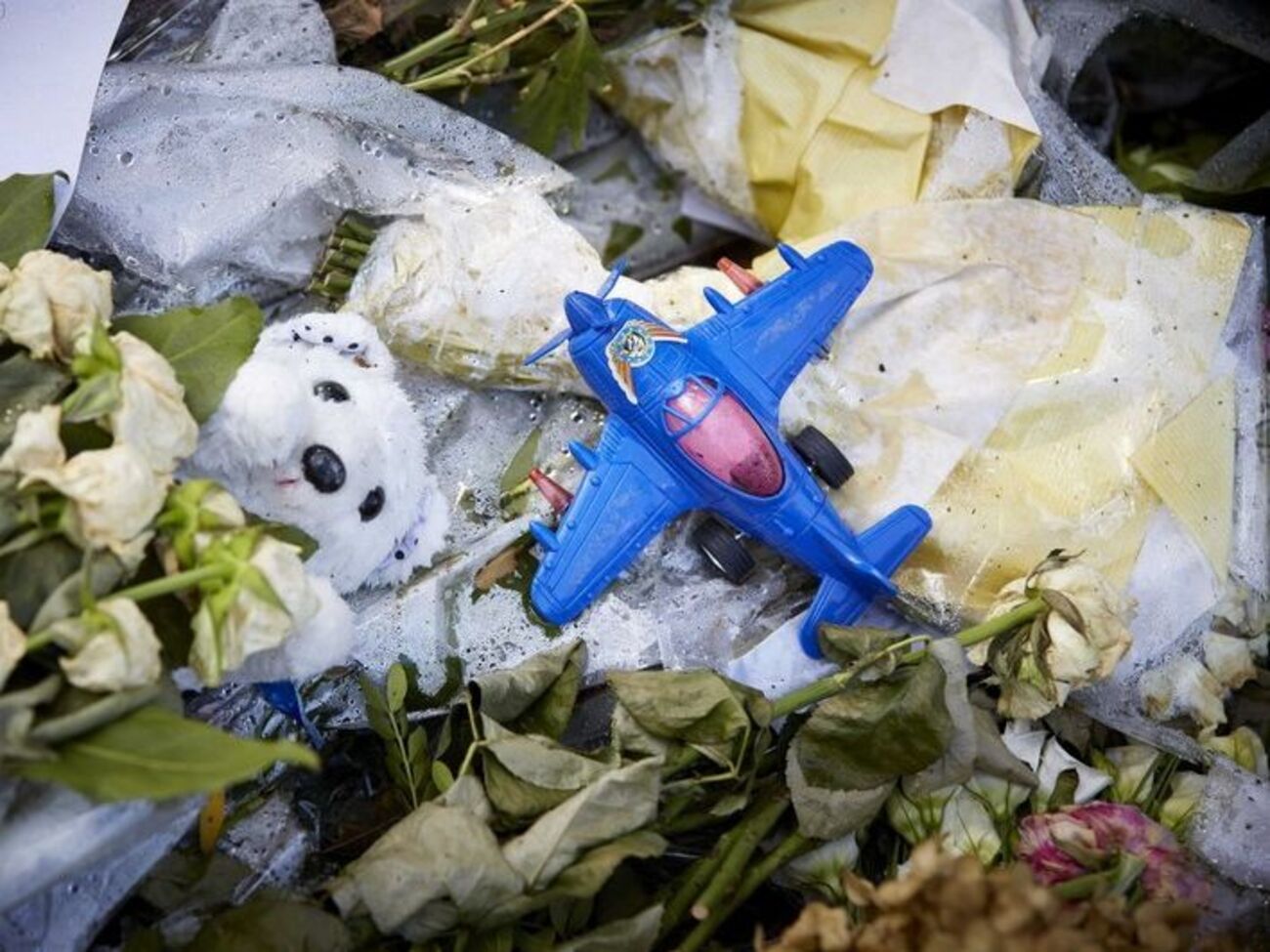 Экспертам удалось установить среднюю цифру на комплексе, из которого сбили малайзийский самолет