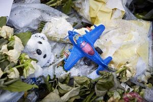 Экспертам удалось установить среднюю цифру на комплексе, из которого сбили малайзийский самолет