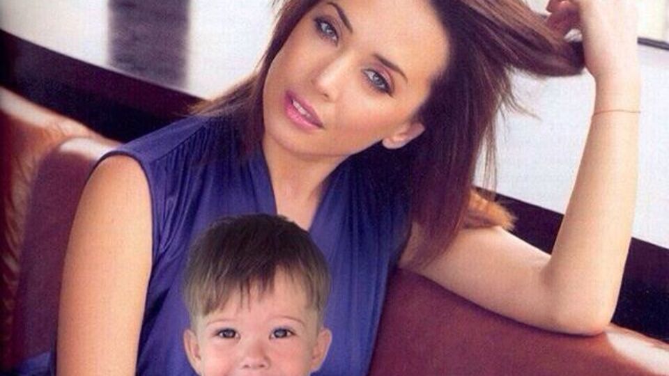 Платону принадлежит треть квартиры и половина дома Фриске