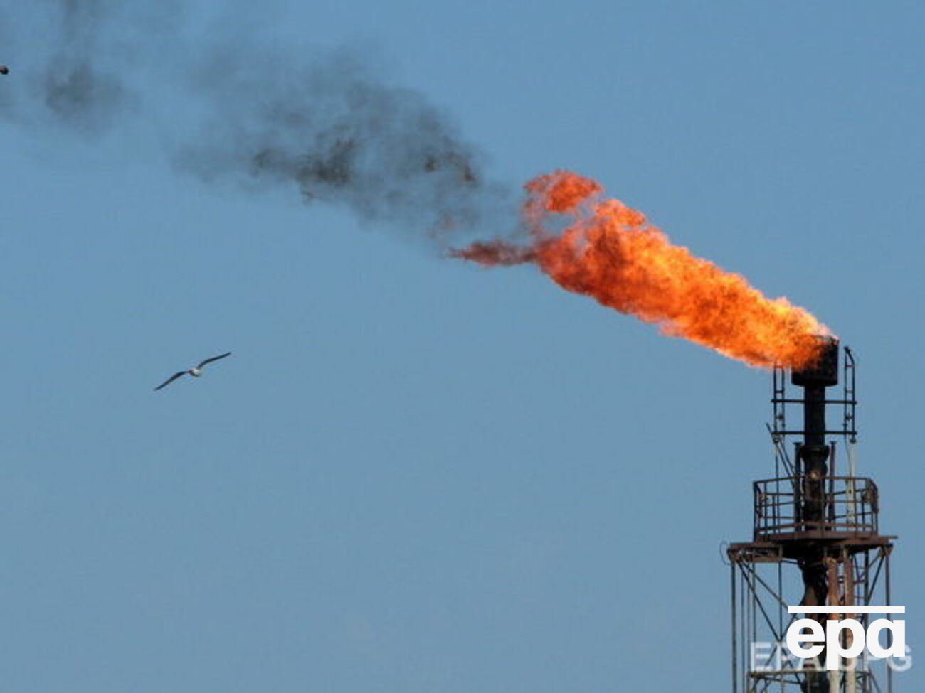 Нефть снова дорожает