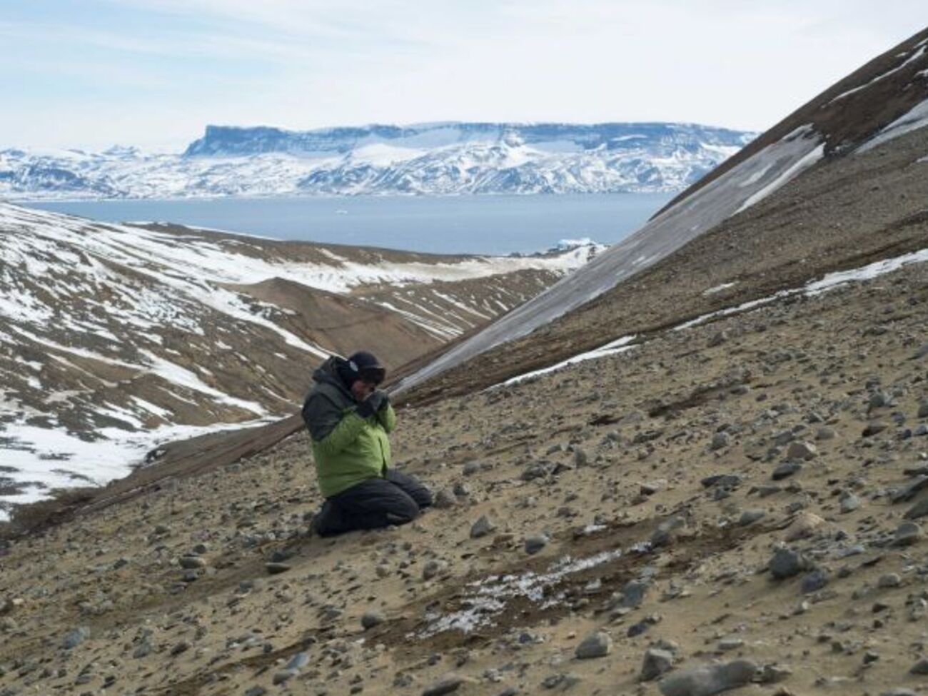 Останки динозавров отправили в США