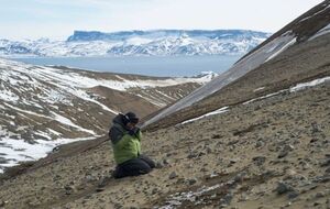 Останки динозавров отправили в США