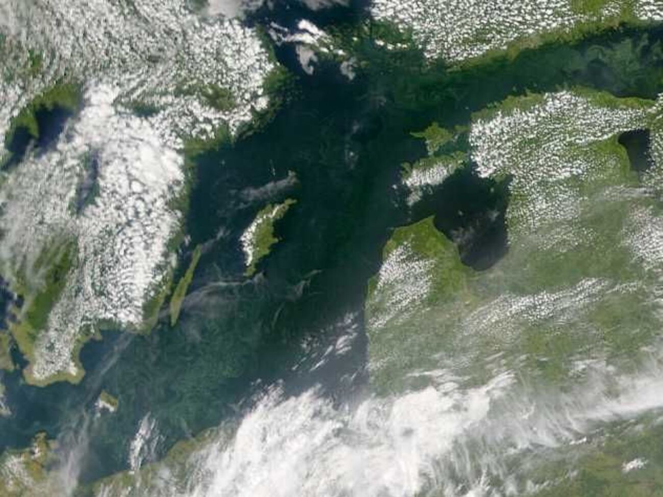 Ученые отмечают изменение цвета растительности