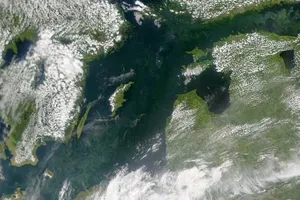 Ученые отмечают изменение цвета растительности