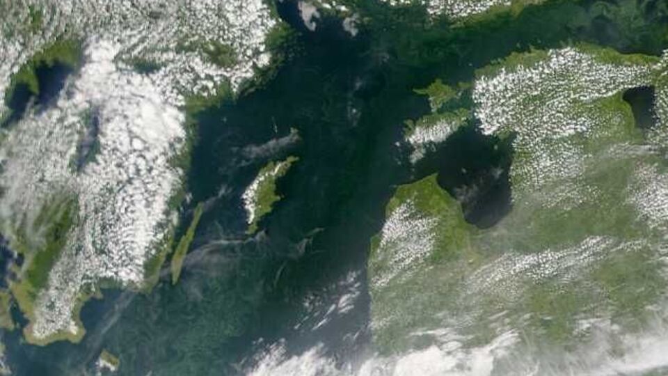 Ученые отмечают изменение цвета растительности