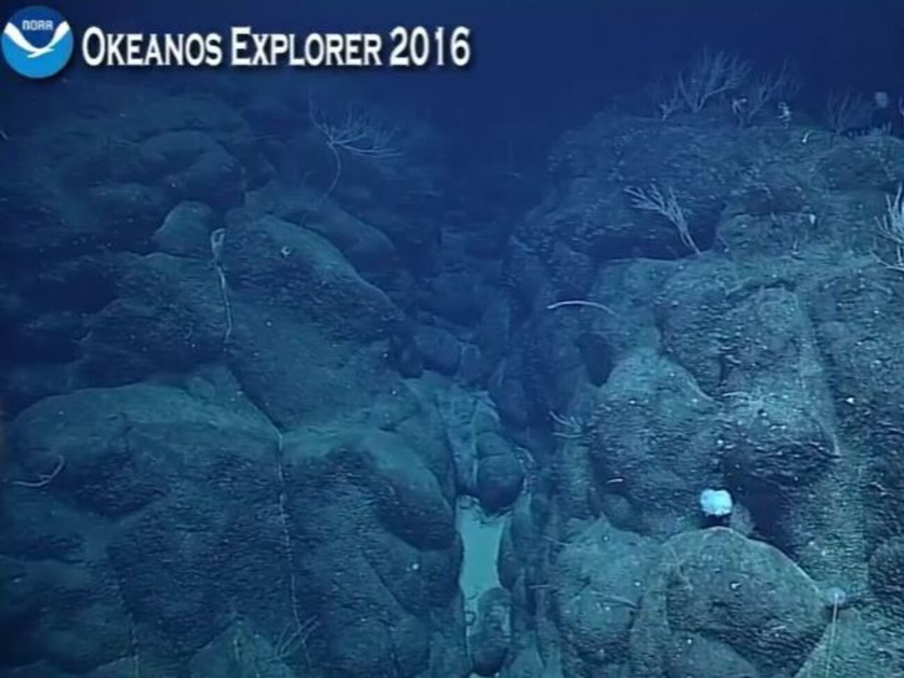 Ученые показали дно Марианской впадины