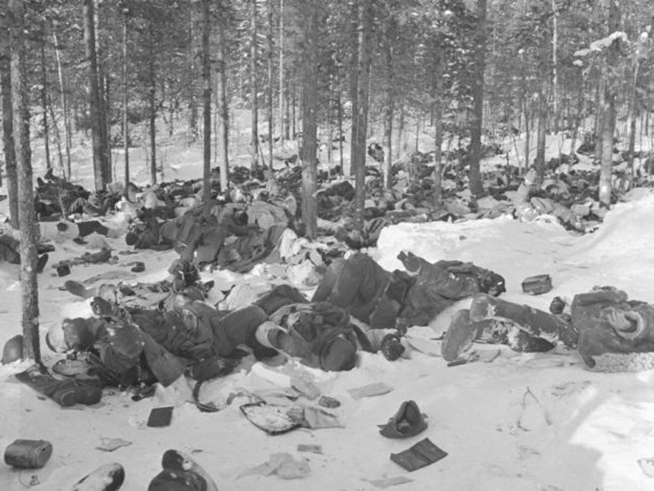 Юсупов:&nbsp;Погибших под Ржевом, чьи тела лежали на полях в три слоя по вине бездарей-полководцев, мне безумно жаль