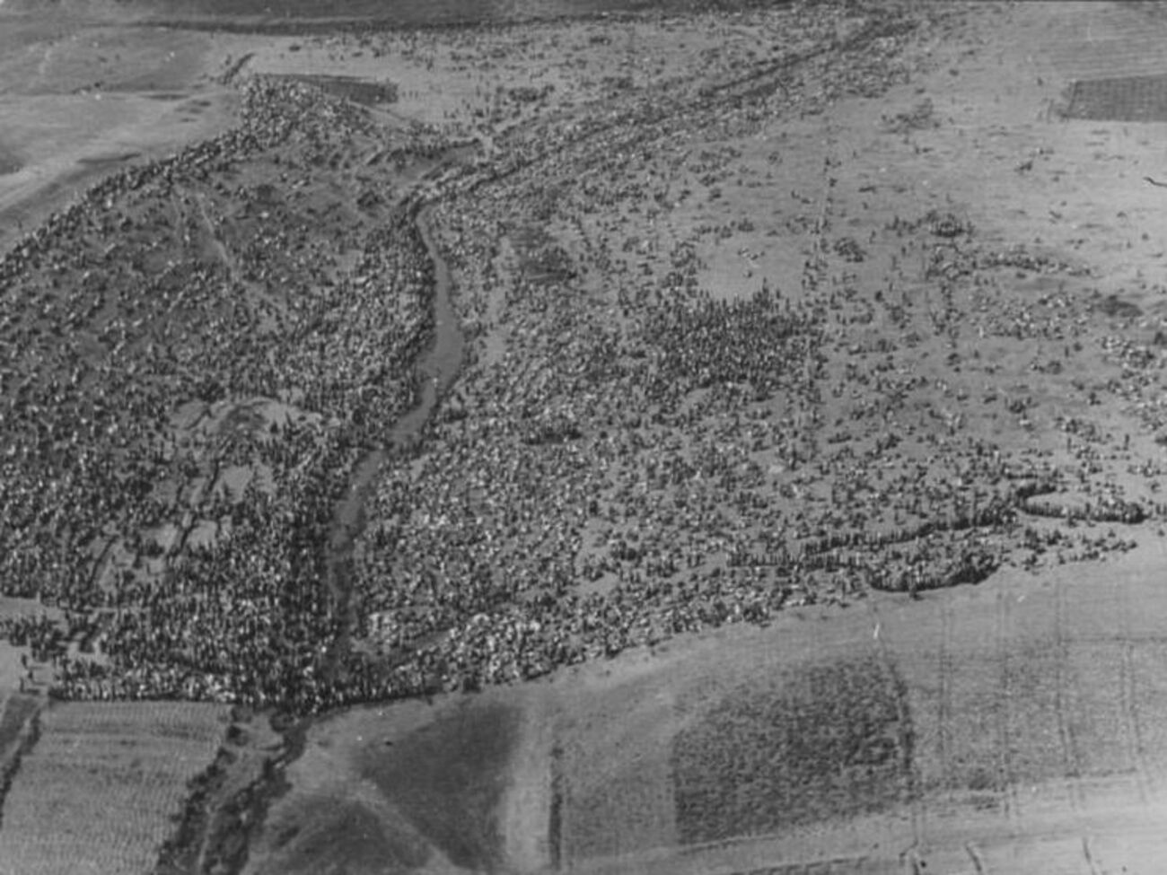 Роман Попков: Советские военнопленные в 1941 году. Сотни тысяч. Миллионы. Дивизии, корпуса, армии