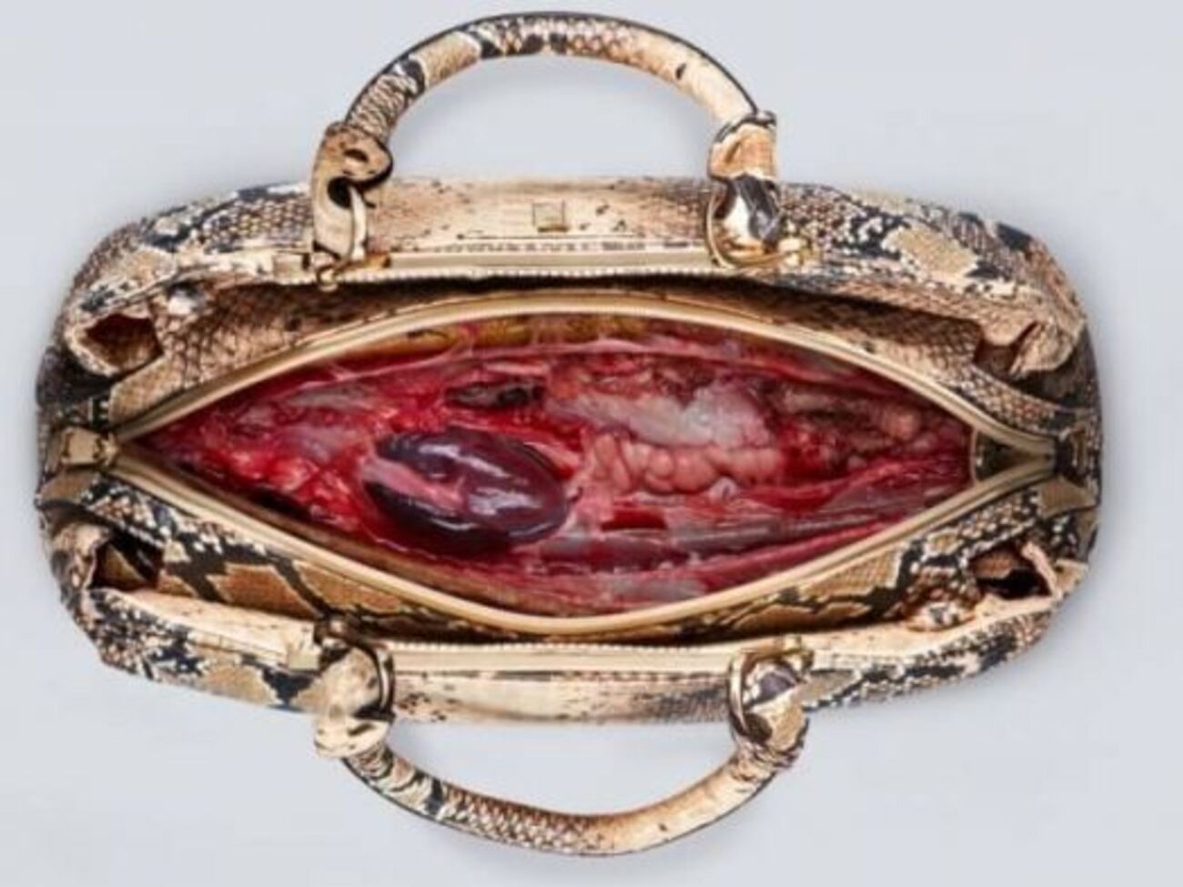 PETA показала обратную сторону модной индустрии