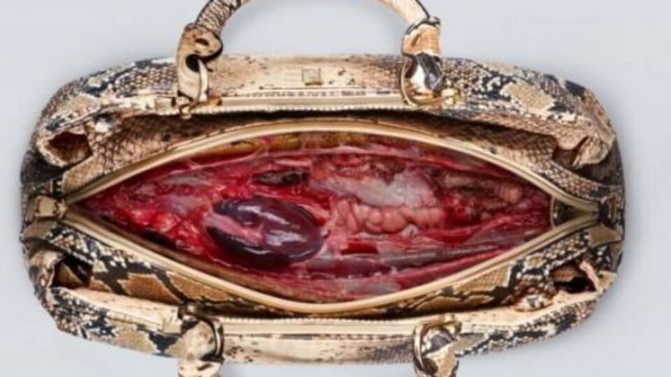 PETA показала обратную сторону модной индустрии