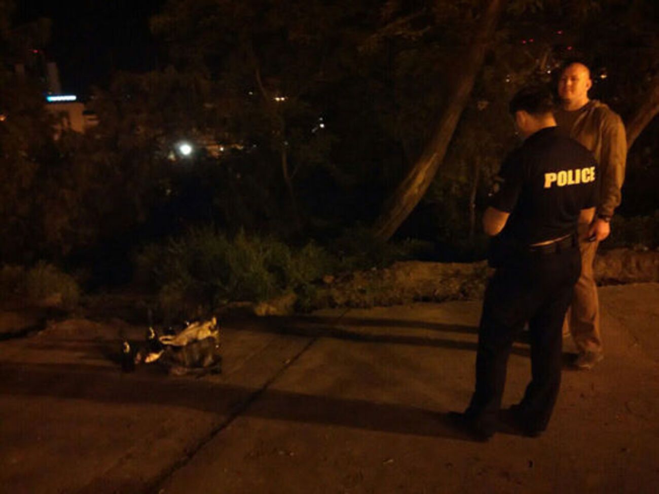 В Одессе 8 мая нашли в центре города сумку с коктейлями Молотова