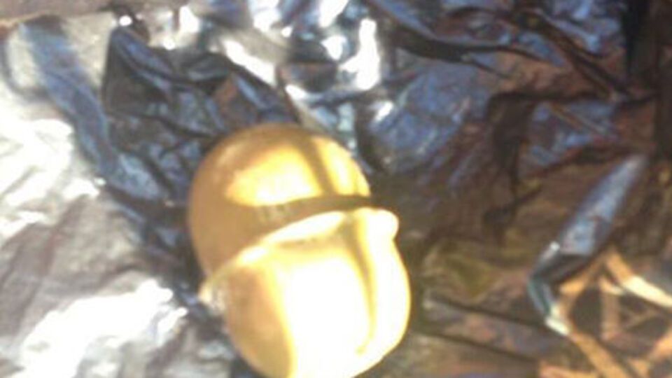 Боеприпас обнаружили в районе проведения массовых мероприятий