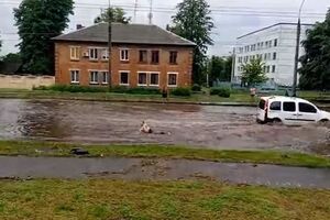 Мужчина добровольно окунулся в лужу