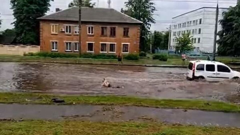 Мужчина добровольно окунулся в лужу