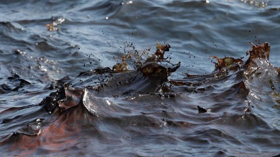 В Черное море в Алупке вылилось восемь тонн мазута