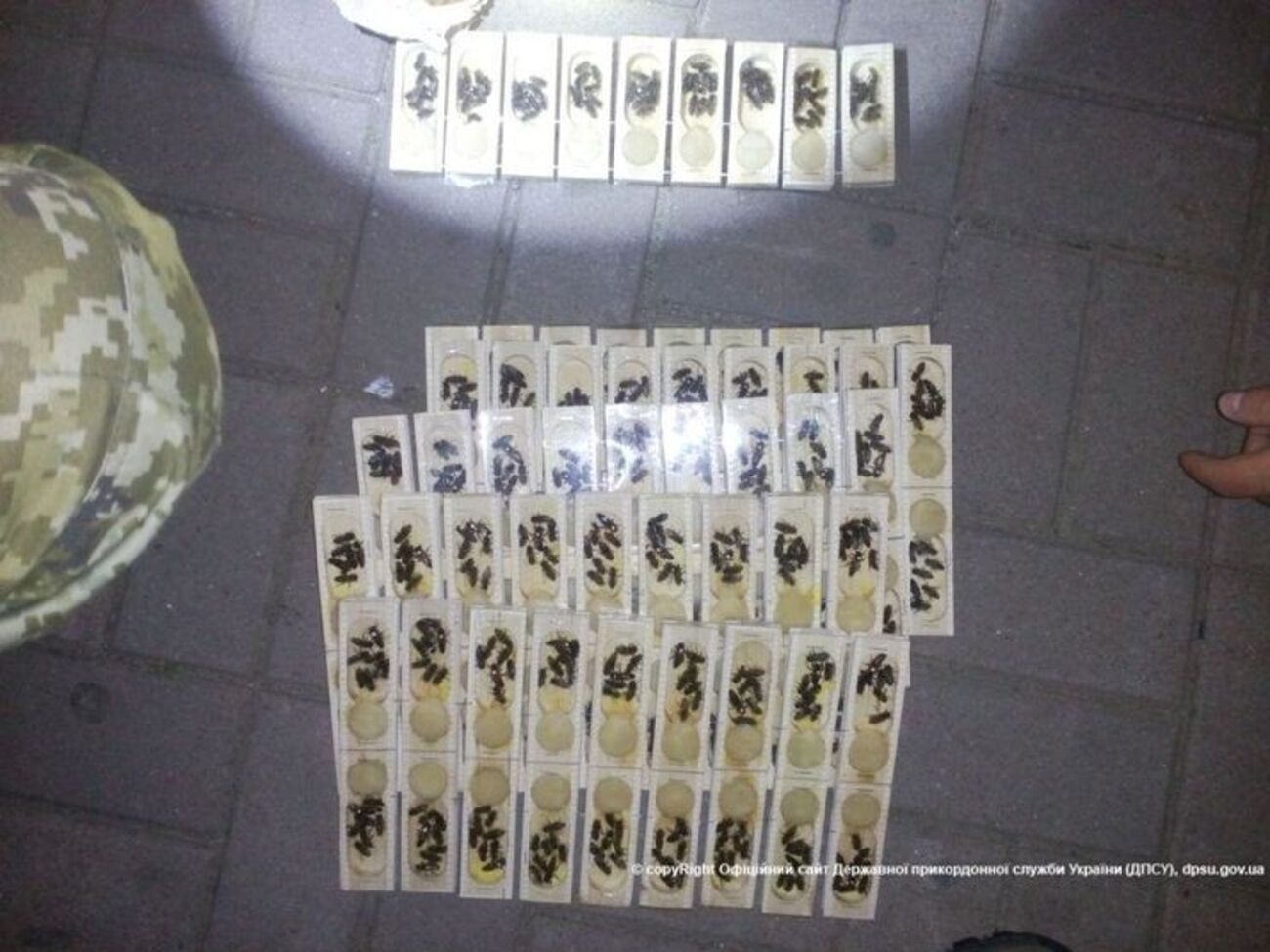 Украинец вез в РФ коробку с пчелосемьями