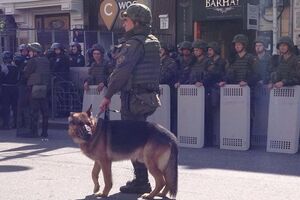 Полиция опросила и отпустила всех задержанных на Марше равенства