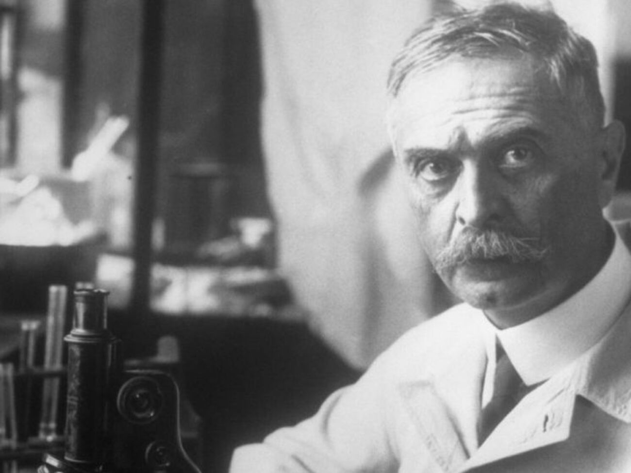 Google почтил достижения&nbsp;Ландштейнера