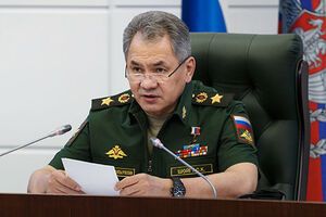 Шойгу: Проверка в вооруженных силах РФ продлится до 22 июня