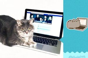 Джеки повторил позы своего электронного двойника