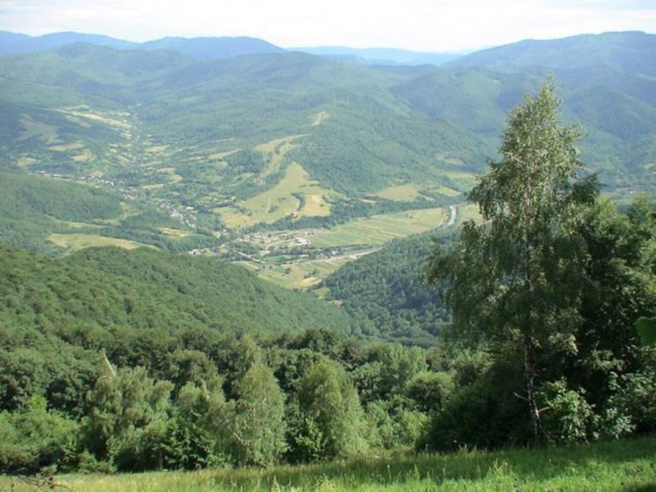 Несчастный случай произошел на территории Ужанского национального природного парка