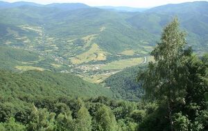 Несчастный случай произошел на территории Ужанского национального природного парка