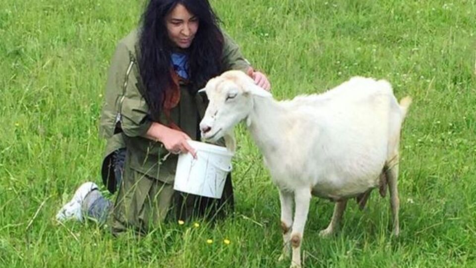 Лолита: Я первый раз доила козу!!!