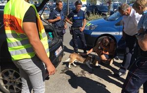 Синицын: Разбили дубинкой окно и освободили пса, еще и напоили его водой