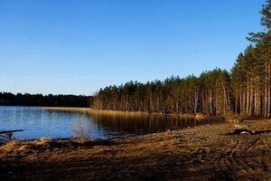 Следователи дадут правовую оценку действиям лиц, организовавших катание детей на лодках в условиях плохой погоды