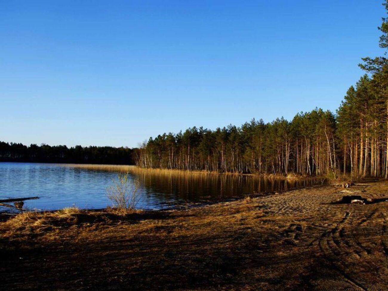 В составе туристической группы находился 51 человек, из них четверо&nbsp;&ndash;&nbsp;взрослые