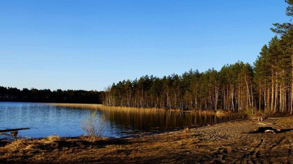 В составе туристической группы находился 51 человек, из них четверо – взрослые