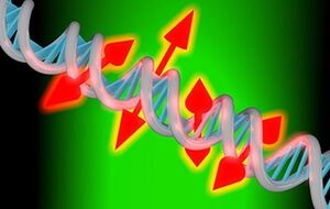 Художественное изображение цепи ДНК