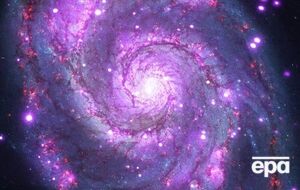 Ученый подсчитал, когда во Вселенной возникла жизнь