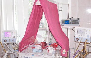 Малыши обеспечены необходимым уходом и медикаментами, заявили в мэрии