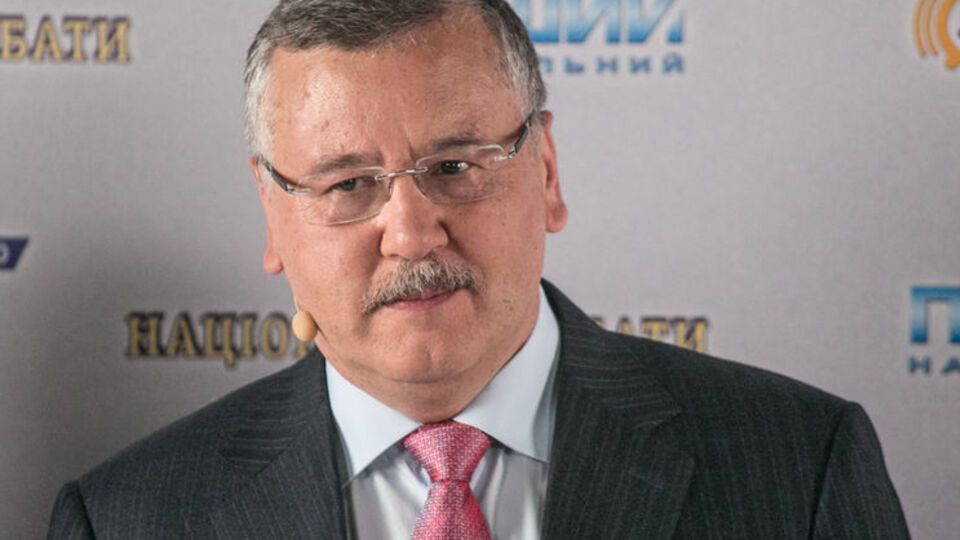 Анатолий Гриценко: Возможно, Савченко надо остаться воином, чтобы не делать ошибок, которые сейчас делаются