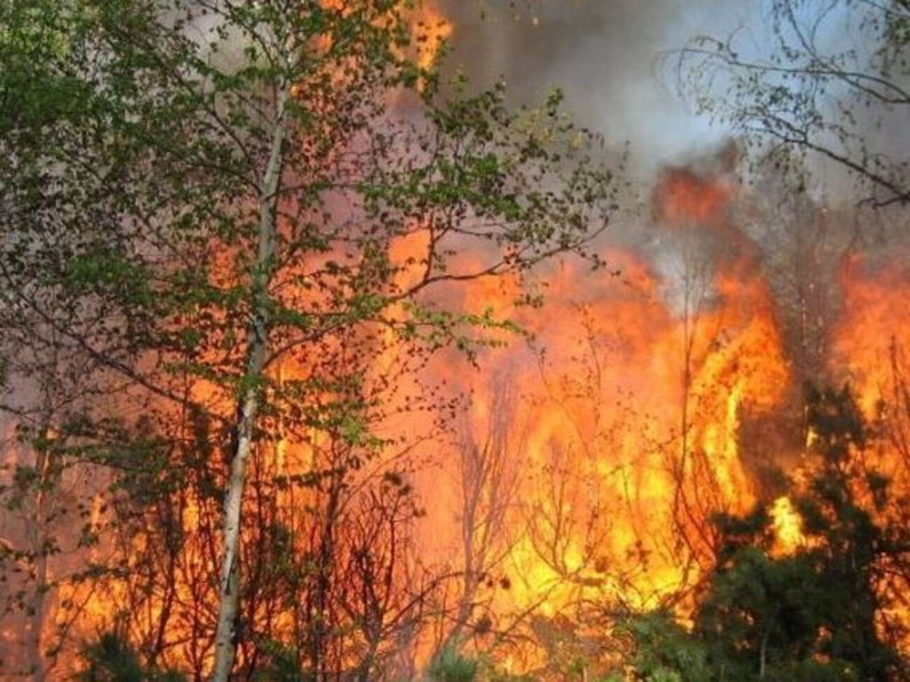 На Камчатке борются с лесными пожарами