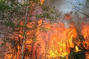 На Камчатке борются с лесными пожарами