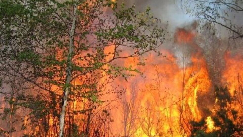 На Камчатке борются с лесными пожарами