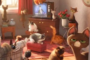 Герои фильма – животные, ведущие активную жизнь в отсутствии хозяев