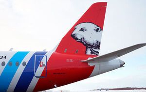 Посадка прошла успешно, никто из пассажиров и членов экипажа не пострадал