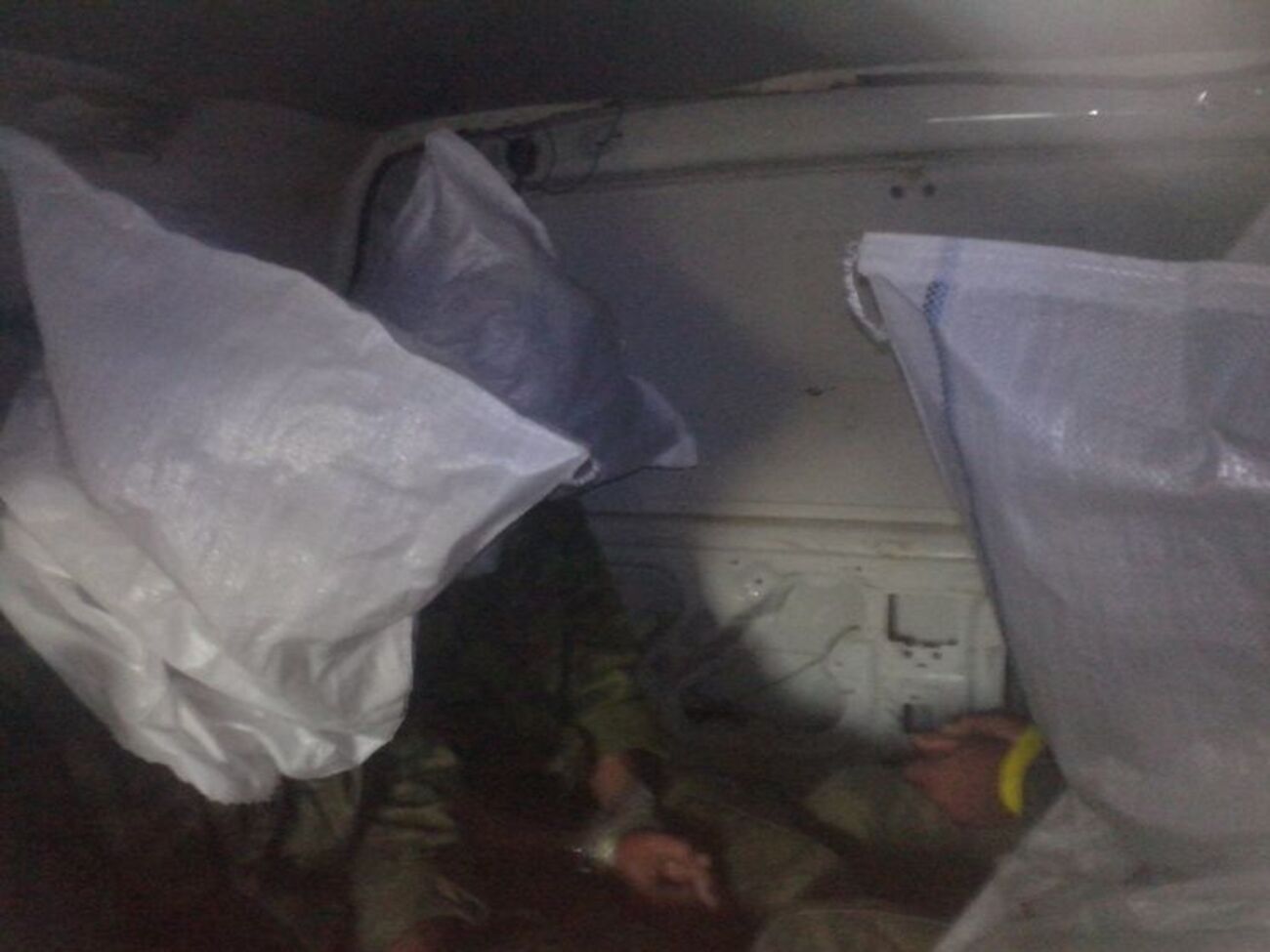 Задержанные вблизи Мариуполя боевики