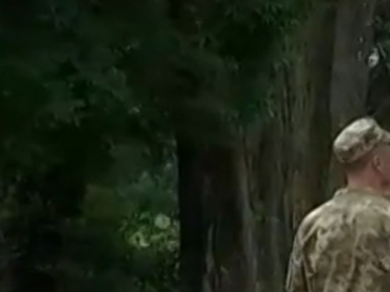 В части опровергли наличие "дедовщины"