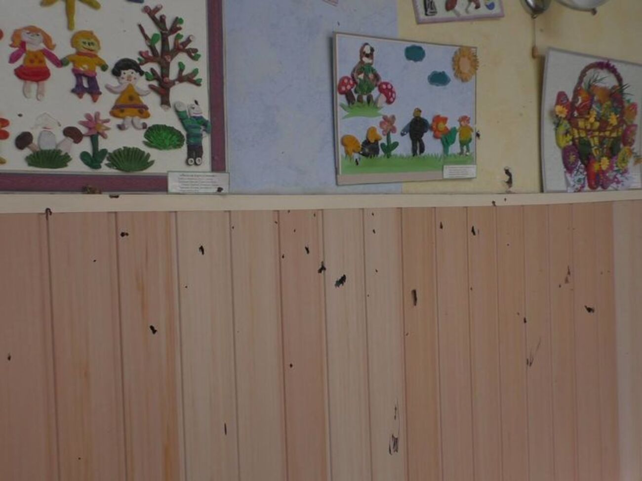 Анна Домбровская:&nbsp;С сегодняшнего дня сад закрыт на неопределенное время